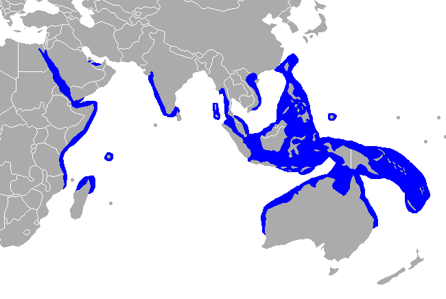 Verbreitung der Gabelschwanzseekühe (Dugong)