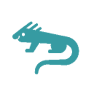 Anonymer Leguan (iguana) von Google Drive