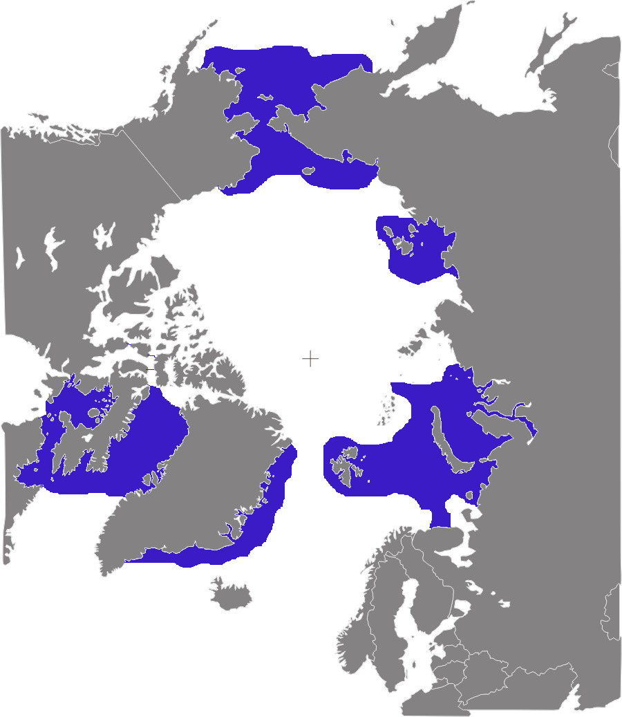 Verbreitungsgebiet der Walrosse