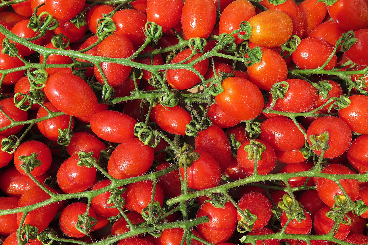 Cherry Tomaten