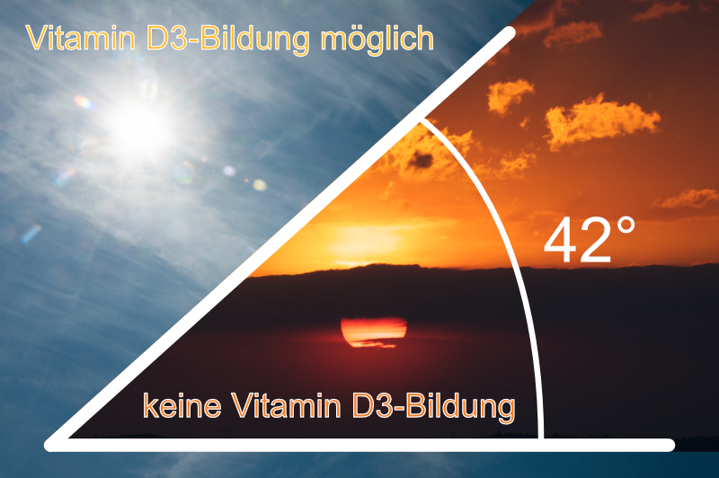 Vitamin D3-Bildung in Abhängigkeit vom Sonnenstandswinkel (Dr. Julia Naudszus)